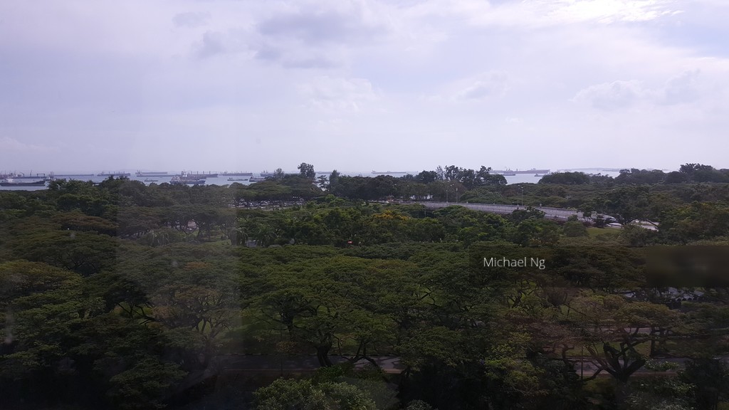 Bayshore Park (D16), Condominium #139259582